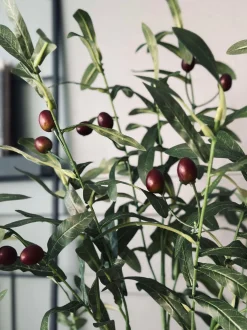 VIAMAJA Blomster<Oliventræ 85cm