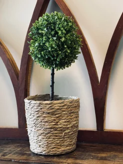 VIAMAJA Blomster<Opstammet træ