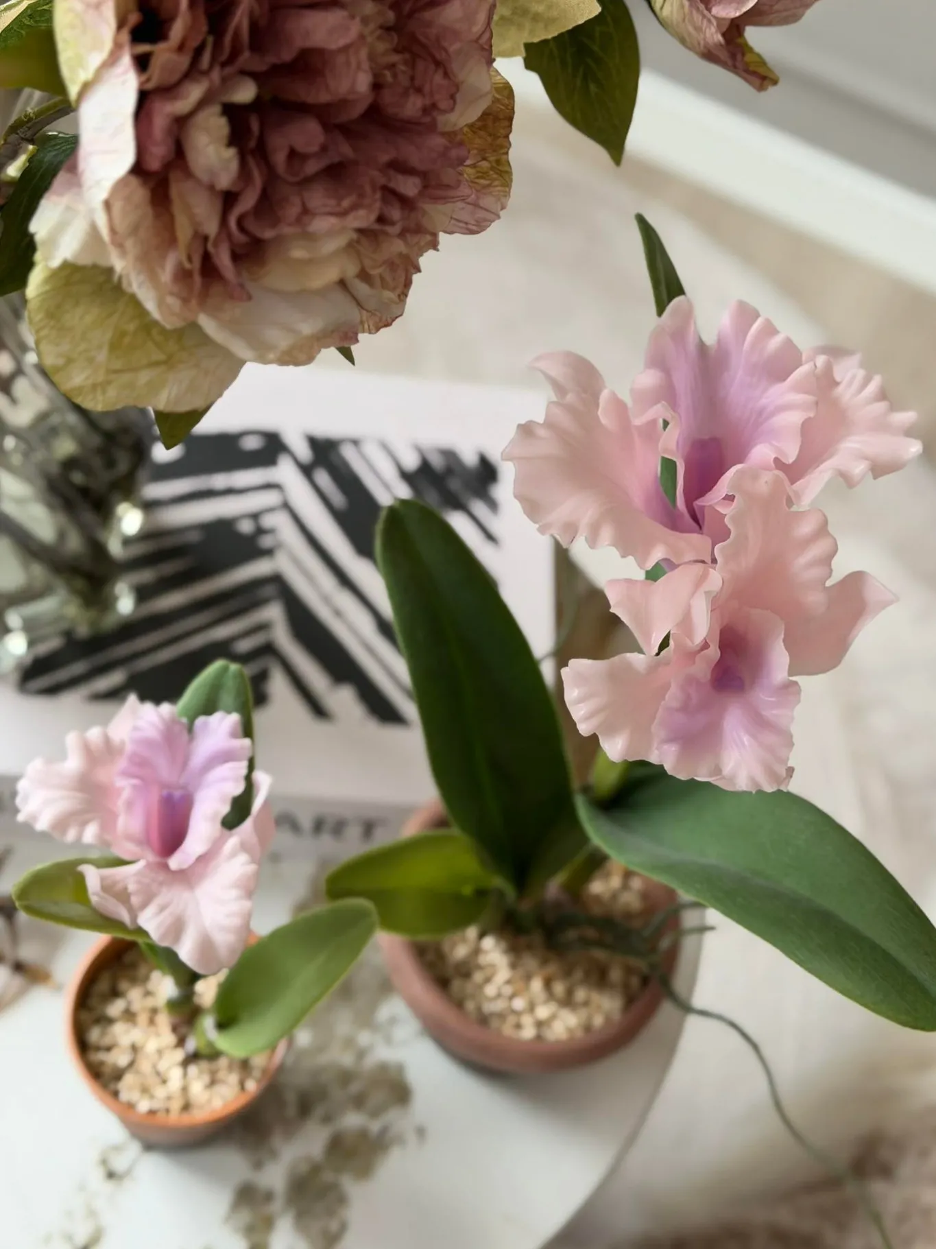 VIAMAJA Blomster|Interiør<Orkidé i Potte Rosa - Flere størrelser