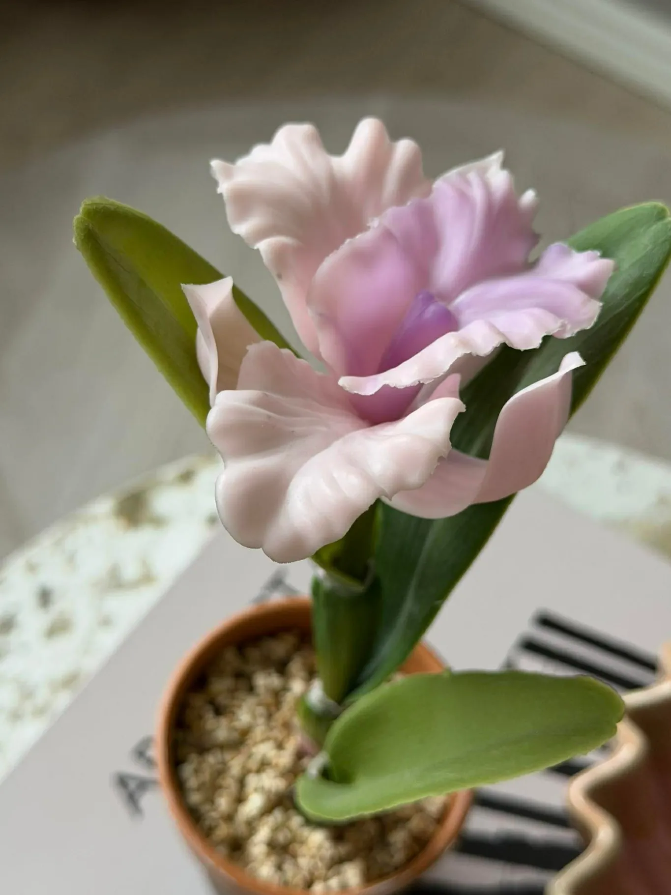 VIAMAJA Blomster|Interiør<Orkidé i Potte Rosa - Flere størrelser
