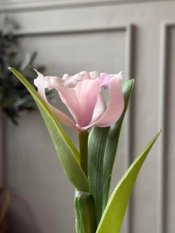 VIAMAJA Blomster|Interiør<Orkidé i Potte Rosa - Flere størrelser