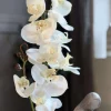 VIAMAJA Blomster<Orkide moskugle