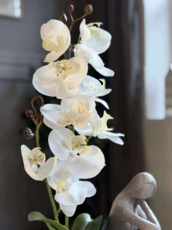 VIAMAJA Blomster<Orkide moskugle