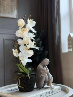 VIAMAJA Blomster<Orkide moskugle