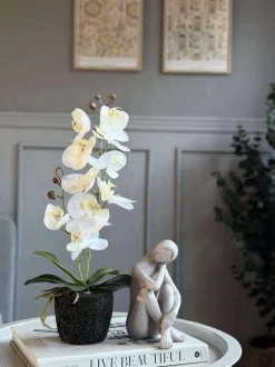 VIAMAJA Blomster<Orkide moskugle