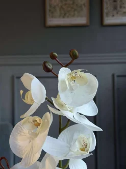 VIAMAJA Blomster<Orkide moskugle