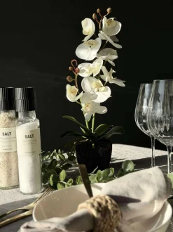 VIAMAJA Blomster<Orkide moskugle