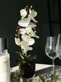 VIAMAJA Blomster<Orkide moskugle