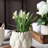 VIAMAJA Blomster<Perlehyacint moskugle - Hvid