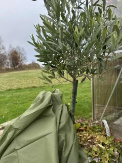 VIAMAJA Diverse Haveliv<Plantebeskyttelse - 10 meter