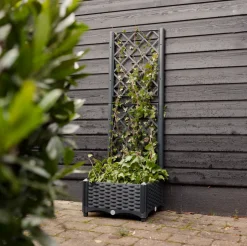 VIAMAJA Plantekasser|Havekrukker<Plantekasse med espalier