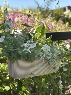 VIAMAJA Plantekasser|Havekrukker<Plantekasse med ophæng – Creme