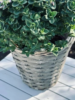 VIAMAJA Havekrukker|Kurve Og Potter<Plantekurv 20 cm