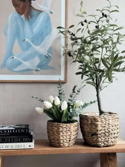 VIAMAJA Urtepotter|Kurve / Opbevaring<Plantekurve i vandhyacint - Sæt med 2stk.