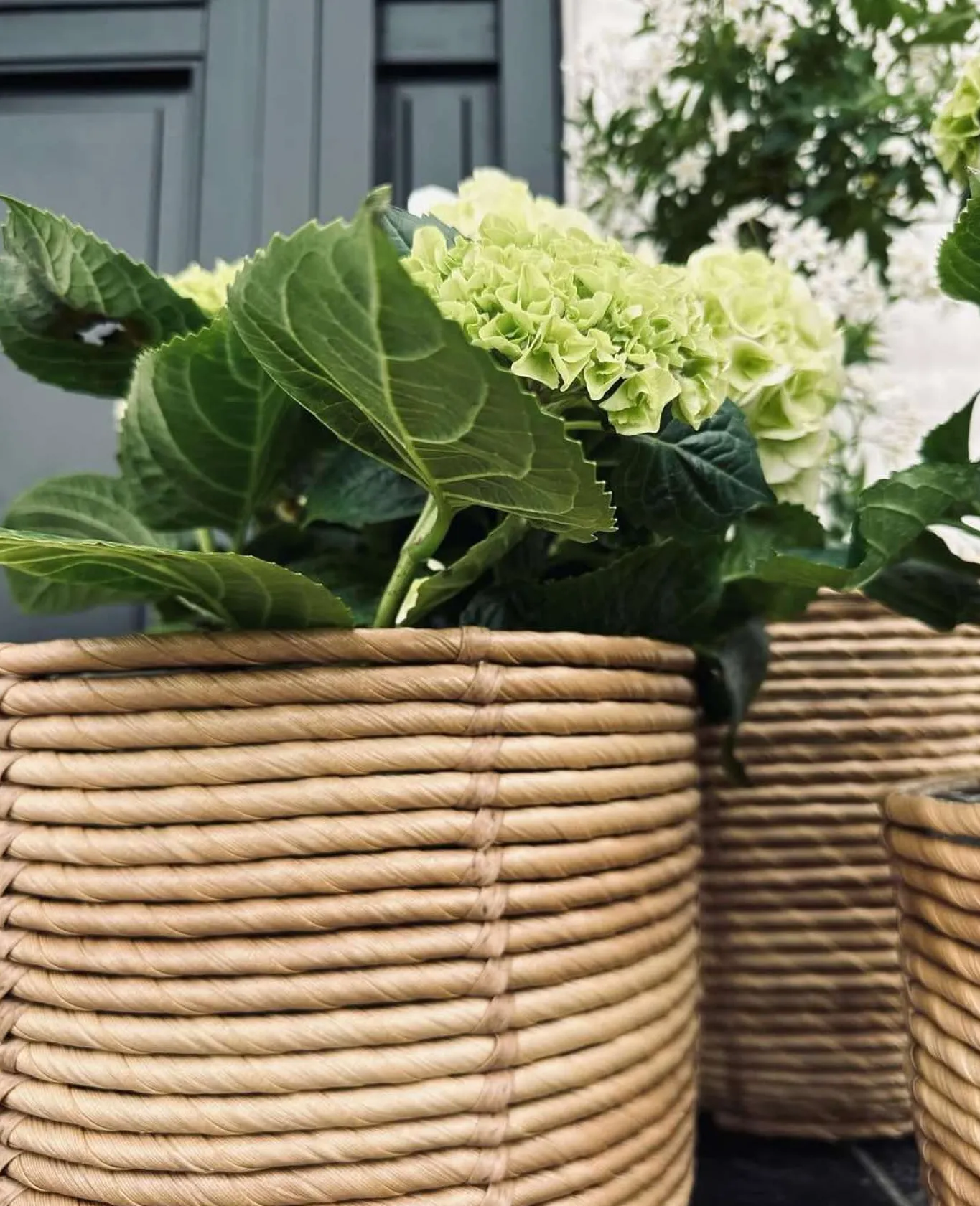 VIAMAJA Restparti|Havekrukker<Plantekurve RATTAN BIG - Sæt med 3 størrelser