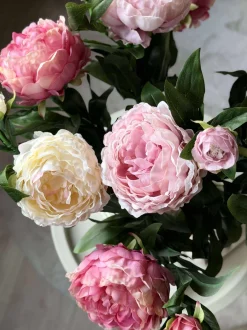 VIAMAJA Blomster<Pæon 60 cm - Flere farver