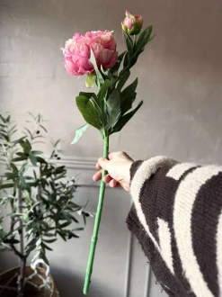 VIAMAJA Blomster<Pæon 60 cm - Flere farver