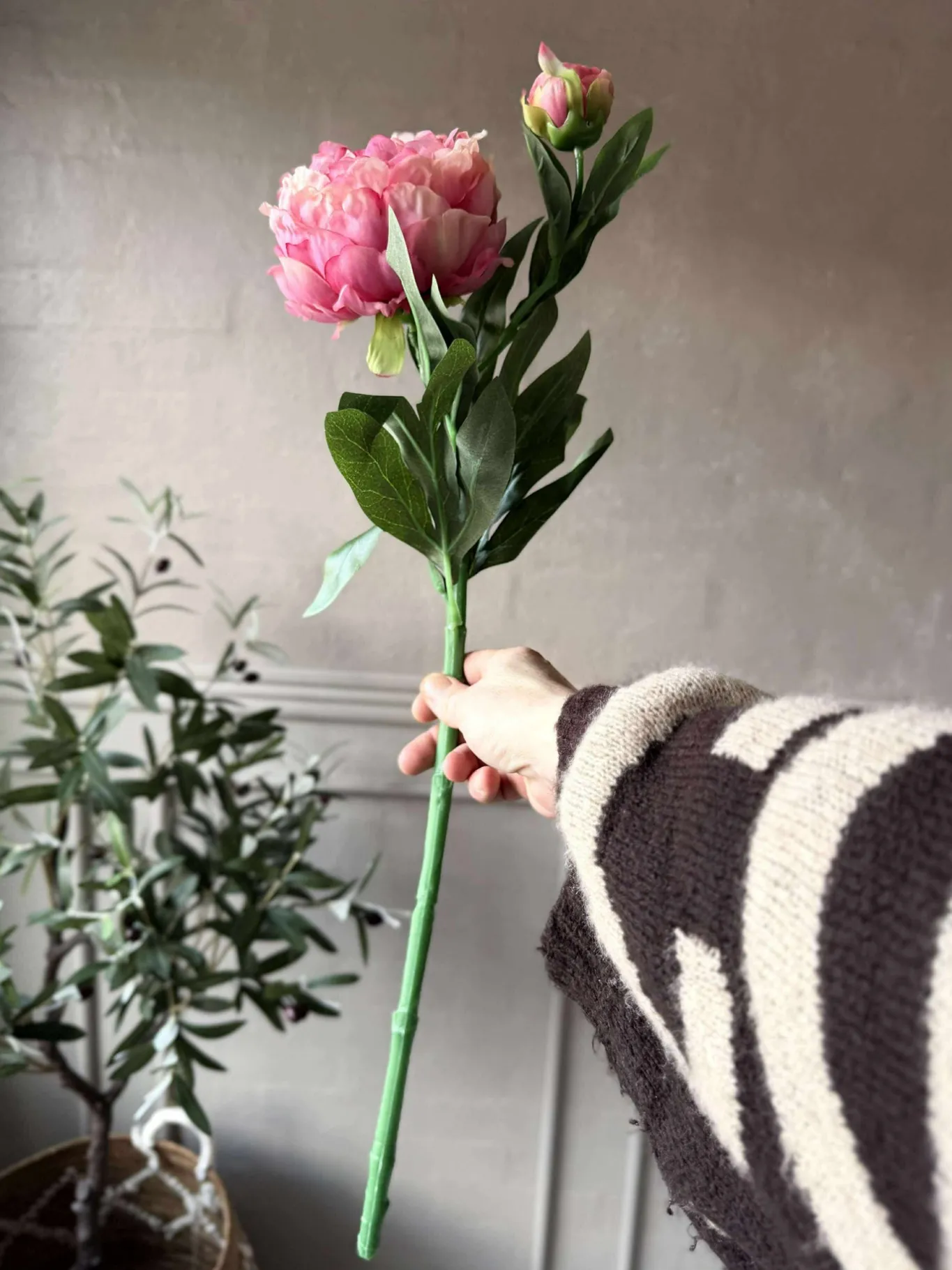 VIAMAJA Blomster<Pæon 60 cm - Flere farver