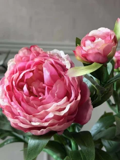 VIAMAJA Blomster<Pæon 60 cm - Flere farver