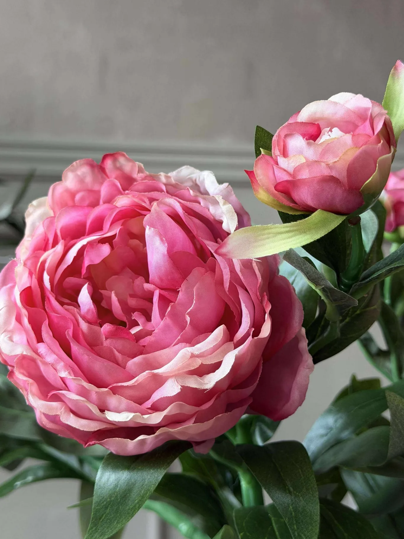 VIAMAJA Blomster<Pæon 60 cm - Flere farver
