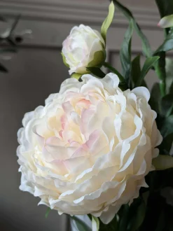VIAMAJA Blomster<Pæon 60 cm - Flere farver
