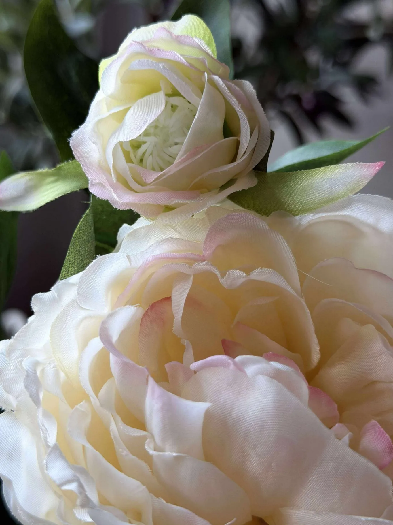 VIAMAJA Blomster<Pæon 60 cm - Flere farver