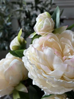 VIAMAJA Blomster<Pæon 60 cm - Flere farver