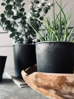 VIAMAJA Urtepotter|Interiør<Potte i beton look - Mellem