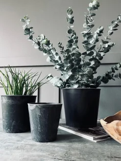 VIAMAJA Urtepotter|Interiør<Potte i beton look - Mellem