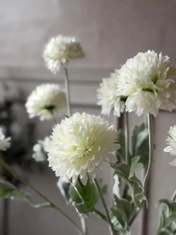 VIAMAJA Blomster<Prydløg stilk 60 cm - Hvid