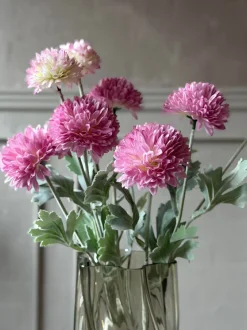 VIAMAJA Blomster<Prydløg stilk 60 cm - Rosa