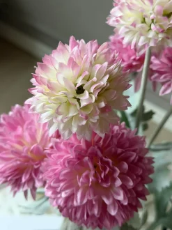 VIAMAJA Blomster<Prydløg stilk 60 cm - Rosa