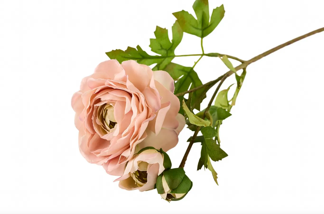 VIAMAJA Blomster<Ranunkel 50cm - Rosa