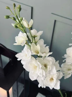 VIAMAJA Blomster<Ridderspore stilk