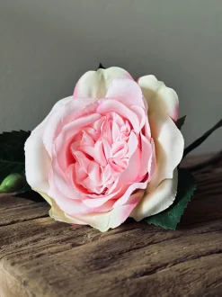VIAMAJA Blomster<Rose 45cm – Pink