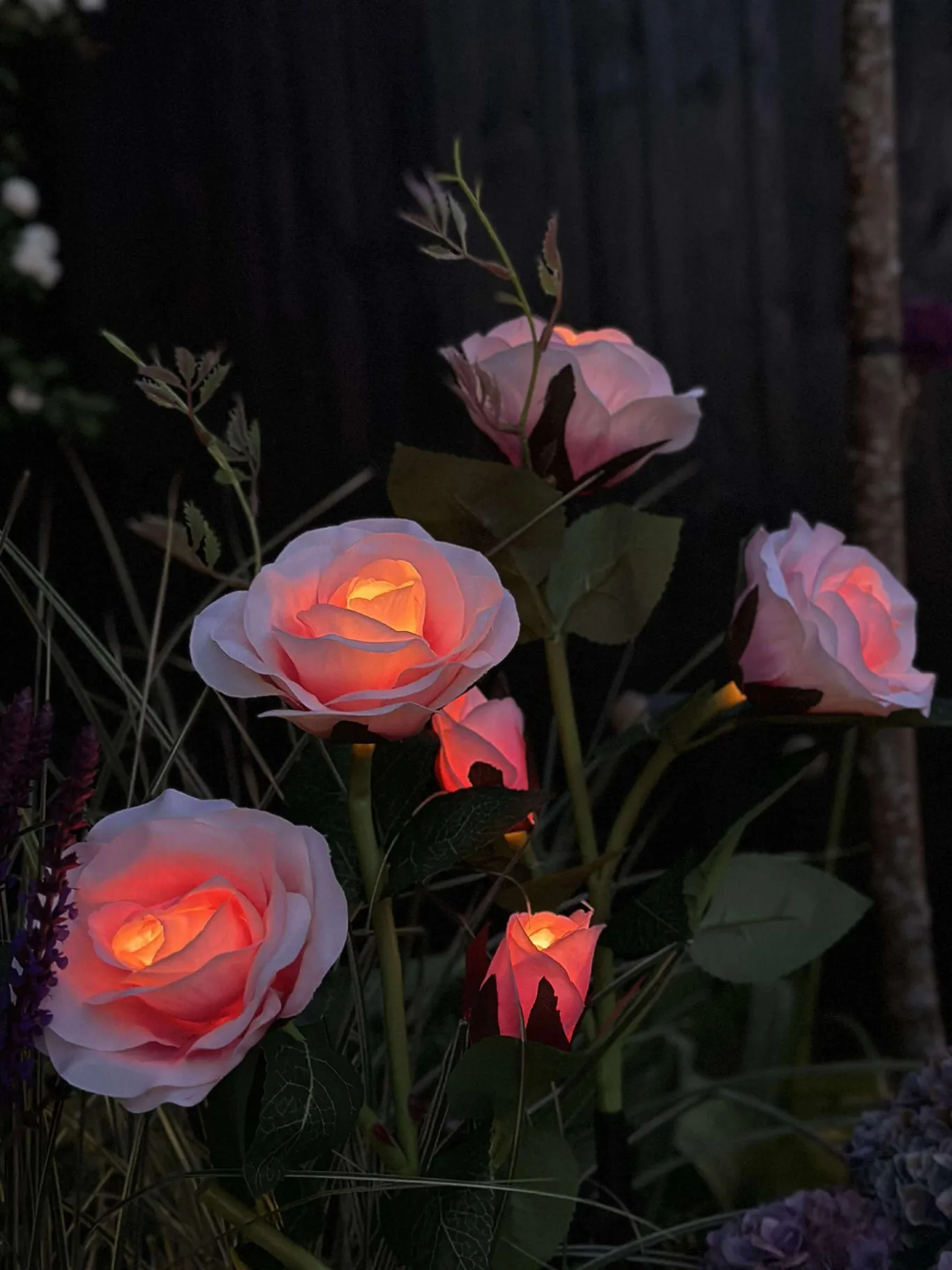 VIAMAJA Lys Og Led|Udendørs Led<Rose med solceller - Rosa