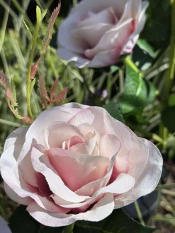 VIAMAJA Lys Og Led|Udendørs Led<Rose med solceller - Rosa