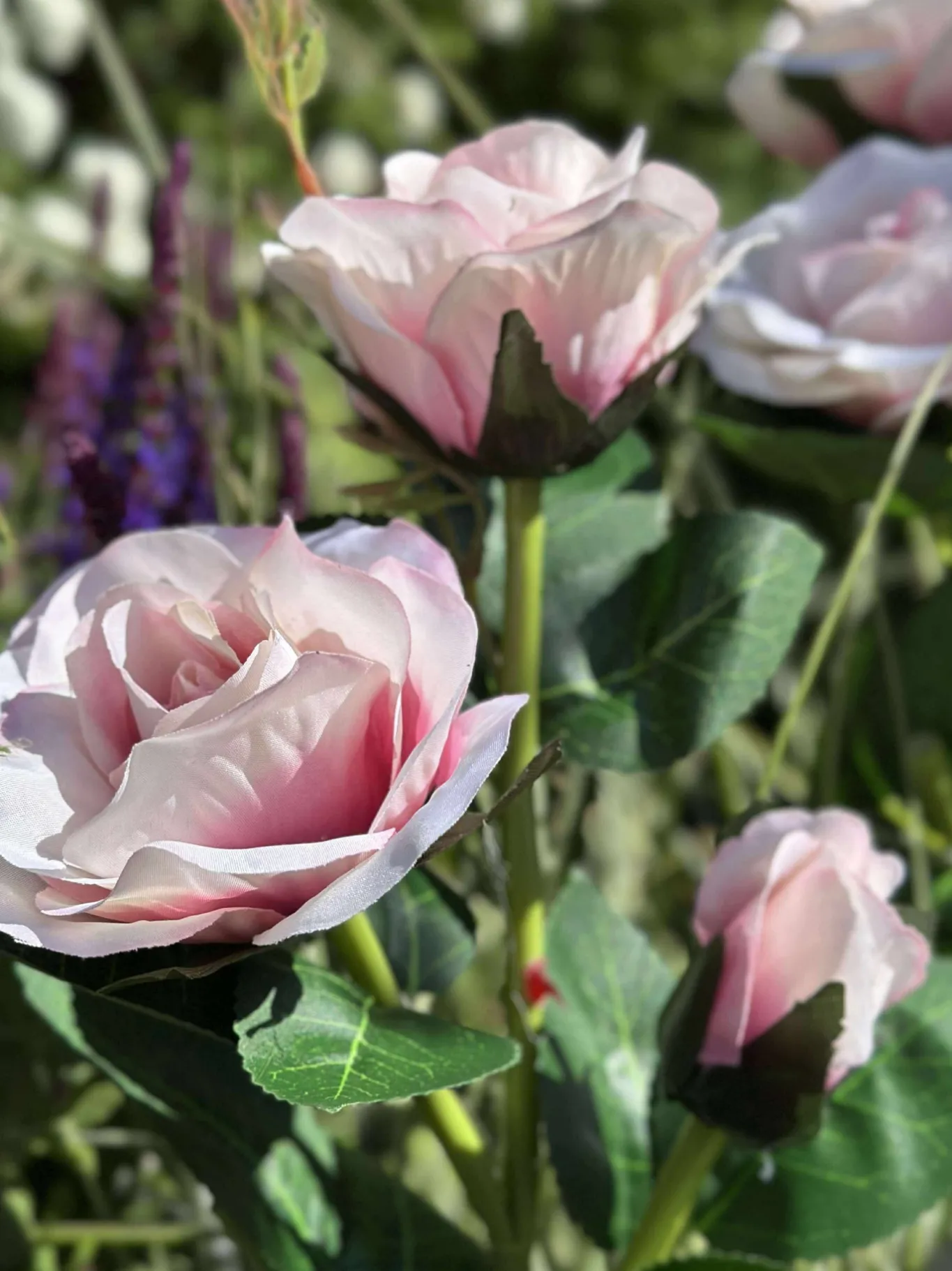 VIAMAJA Lys Og Led|Udendørs Led<Rose med solceller - Rosa