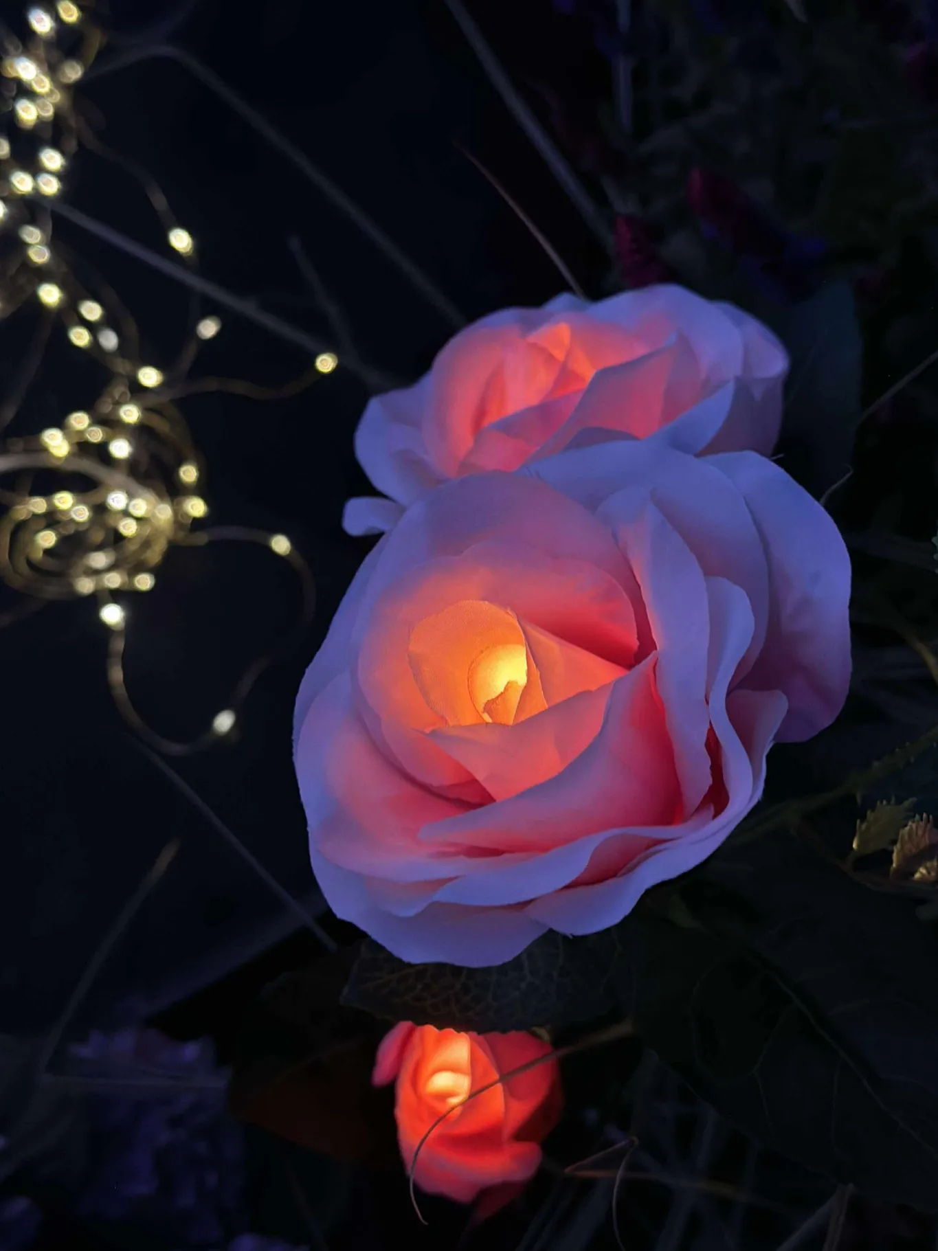 VIAMAJA Lys Og Led|Udendørs Led<Rose med solceller - Rosa