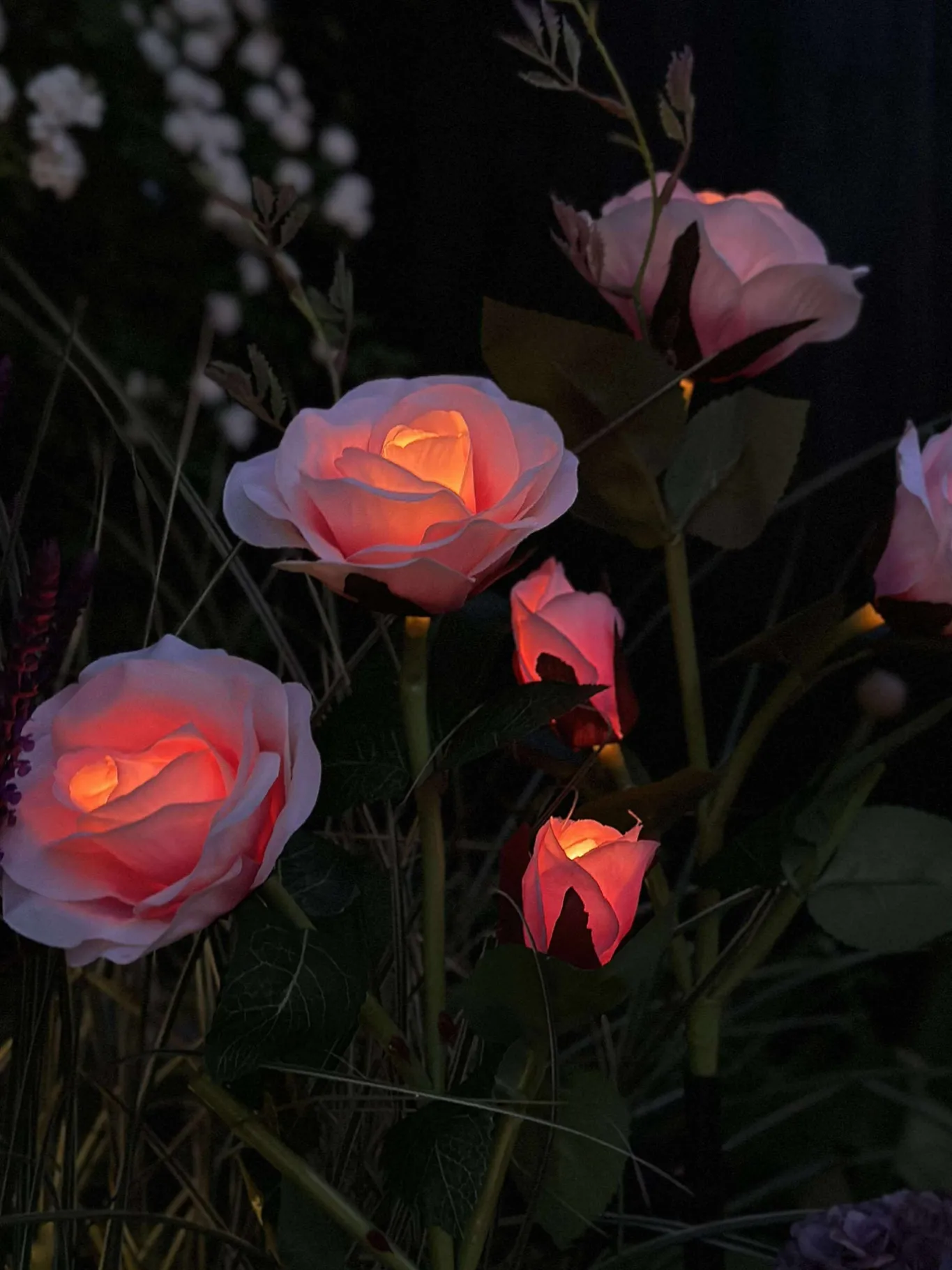 VIAMAJA Lys Og Led|Udendørs Led<Rose med solceller - Rosa