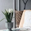VIAMAJA Urtepotter|Restparti<Skjuler zink 9,5cm