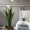 VIAMAJA Blomster<Skærmlilje 120cm - flere farver