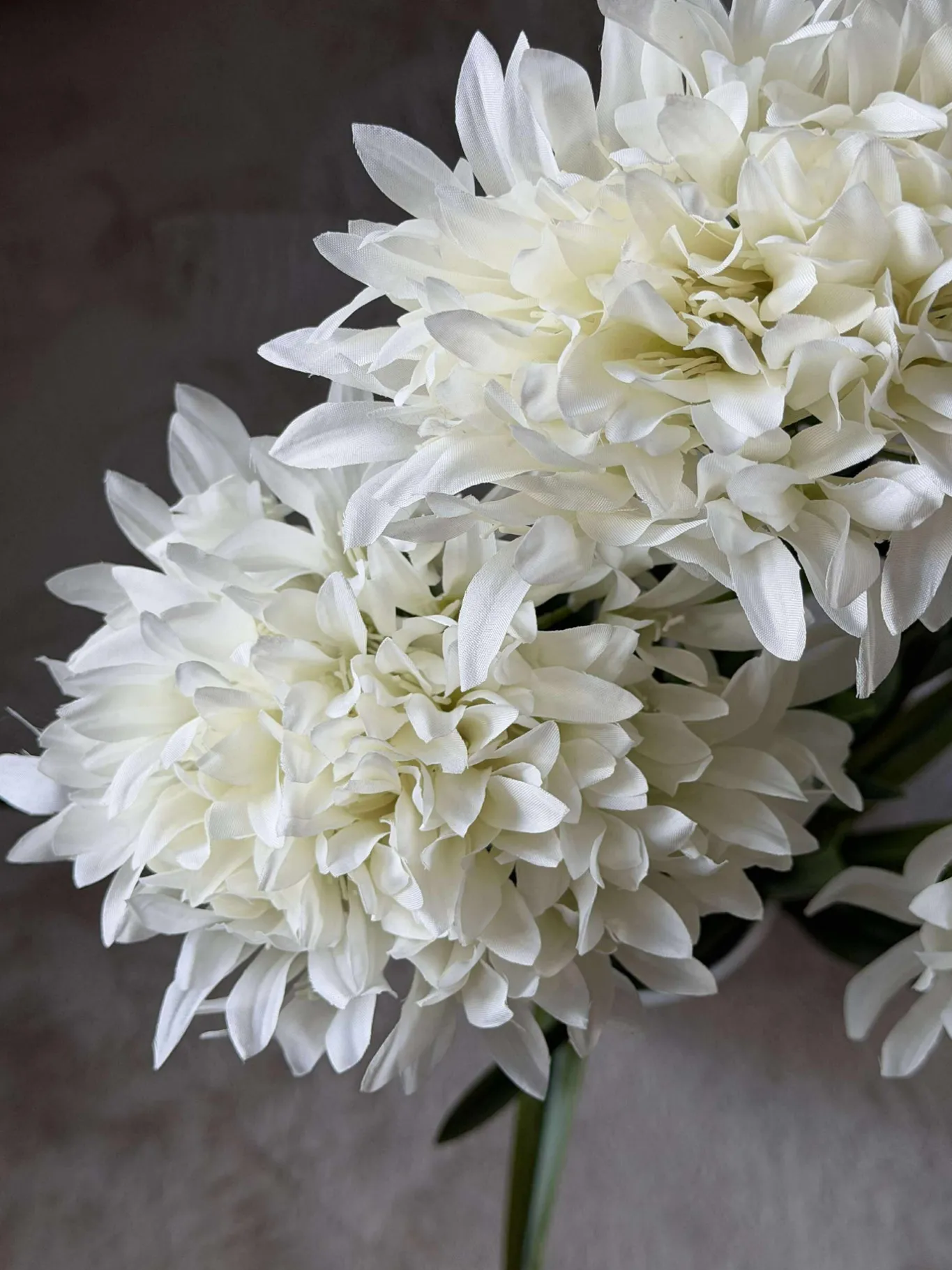 VIAMAJA Blomster<Skærmlilje 120cm - flere farver