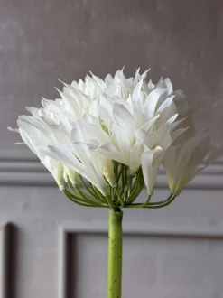VIAMAJA Blomster<Skærmlilje 120cm - flere farver