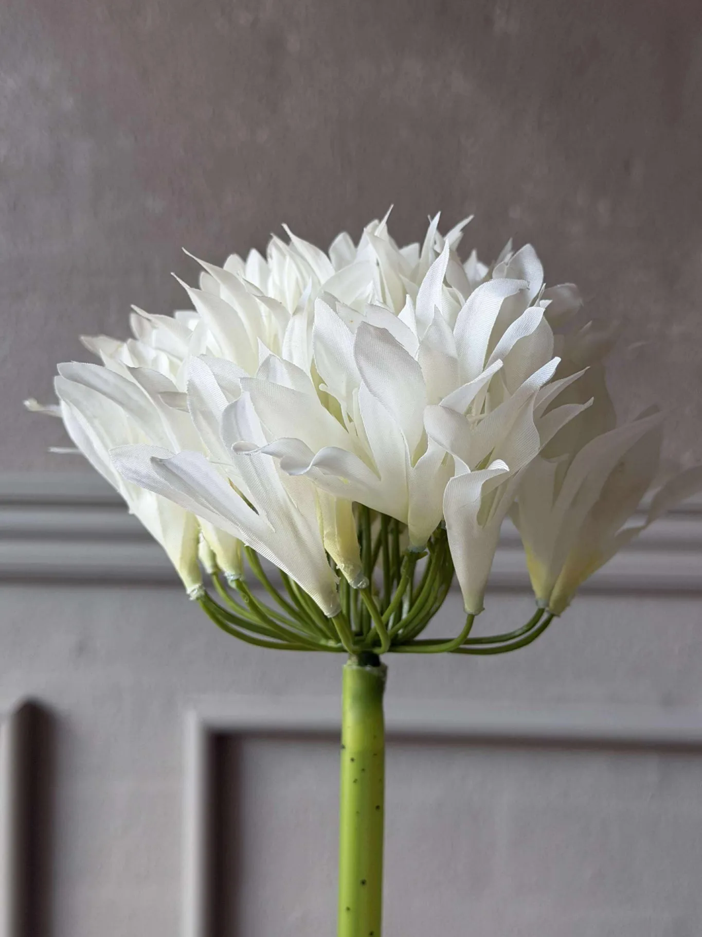 VIAMAJA Blomster<Skærmlilje 120cm - flere farver