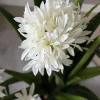 VIAMAJA Blomster<Skærmlilje 80cm - flere farver