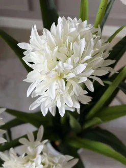 VIAMAJA Blomster<Skærmlilje 80cm - flere farver