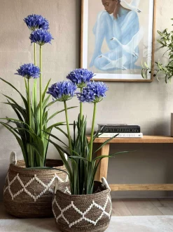 VIAMAJA Blomster<Skærmlilje 80cm - flere farver