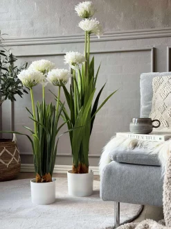 VIAMAJA Blomster<Skærmlilje 80cm - flere farver