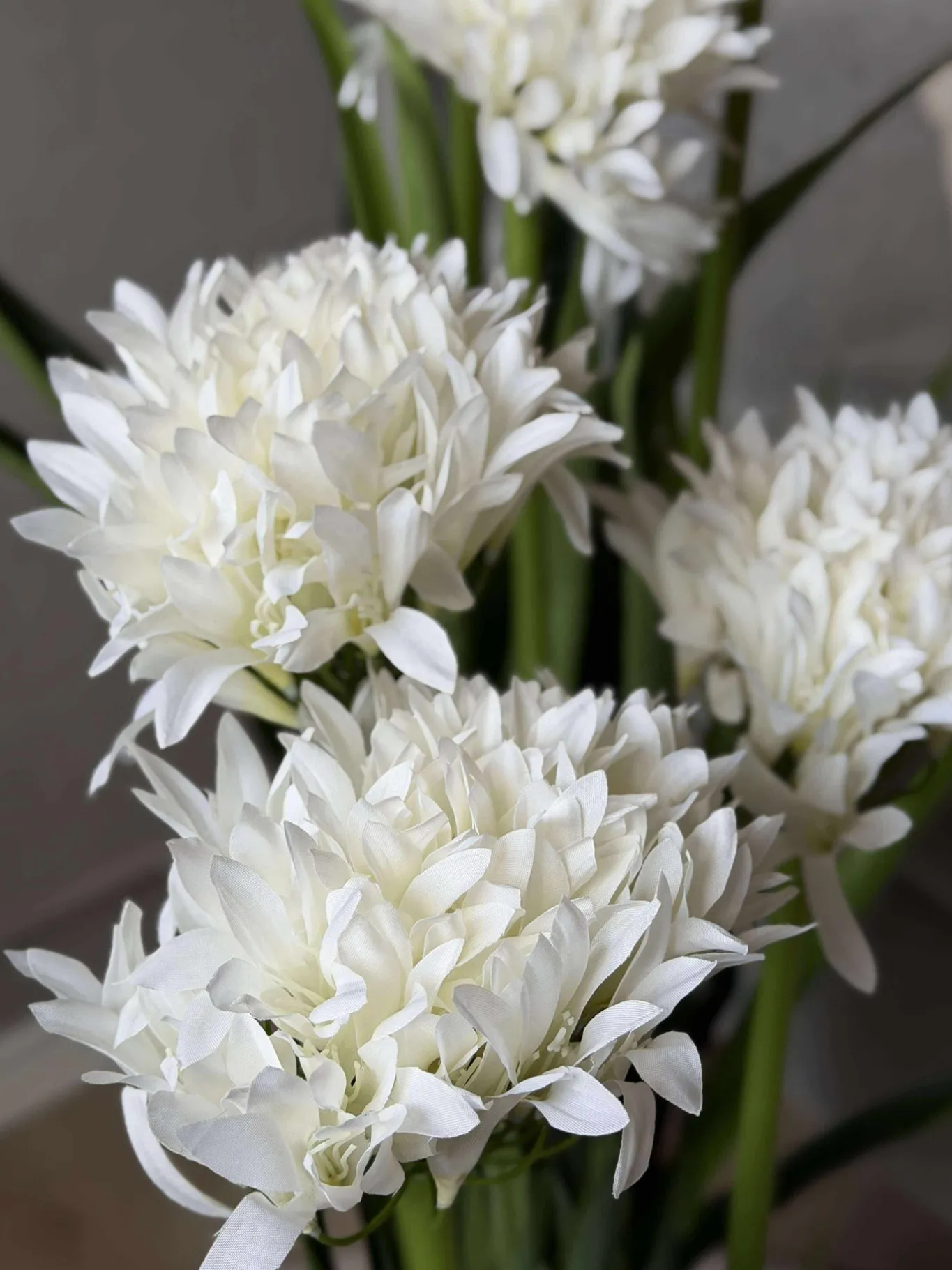 VIAMAJA Blomster<Skærmlilje 80cm - flere farver